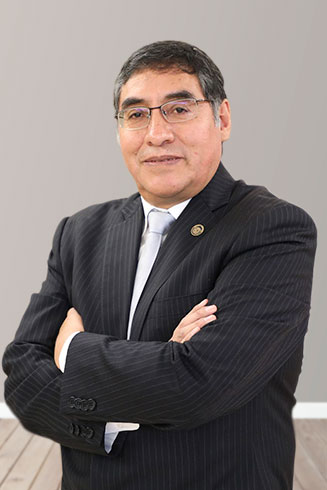 Ing. Manuel Ortega Rubín